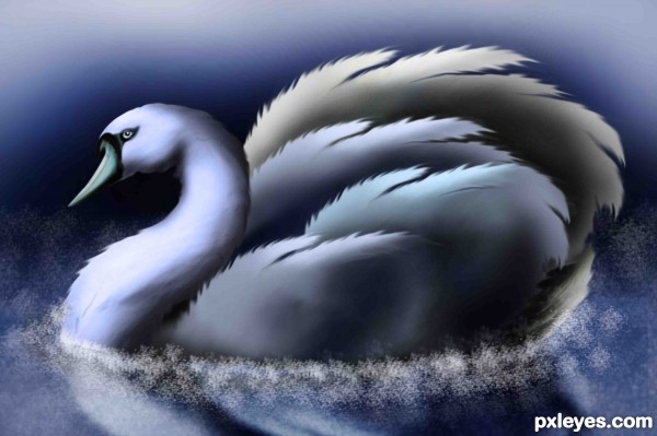 Creation of Blue swan: Step 13